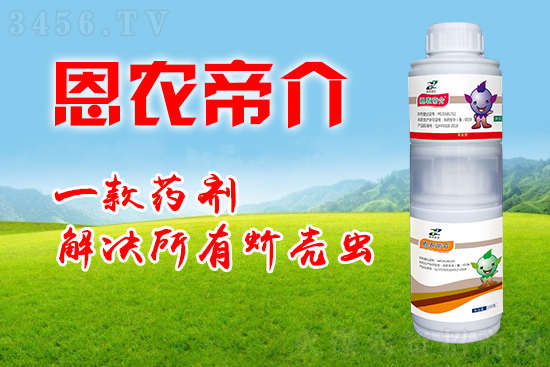 ũףң2021尲⡢Դ