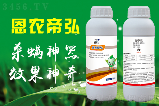 ũףң2021尲⡢Դ