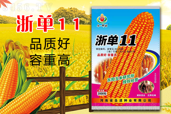 玉米1.jpg