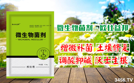 郑州诺威化工科技有限公司2.jpg