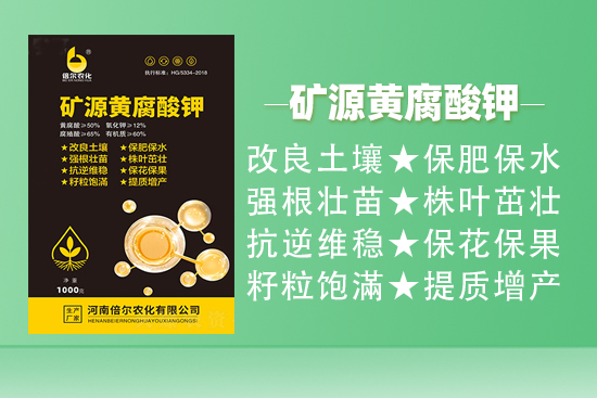 鍊嶅皵1.jpg 鍊嶅皵1.jpg