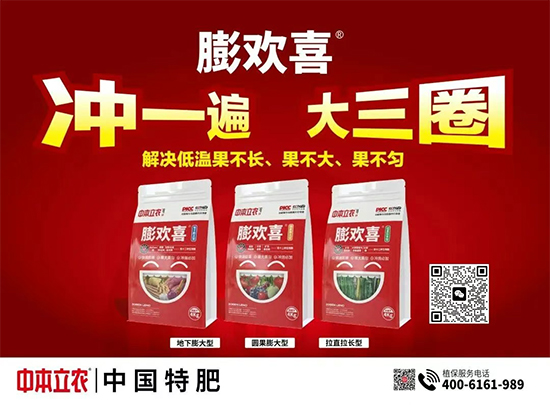 涓湰1.jpg 涓湰1.jpg