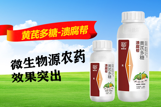 鐟炲�嶈揪1.jpg 鐟炲�嶈揪1.jpg